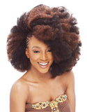 Janet Collection NOIR Afro Kinky Bulk 24" Long 2X Value Pack 100% Kanekalon
