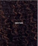 FreeTress Synthetic Hair Crochet Braids Water Wave 22"